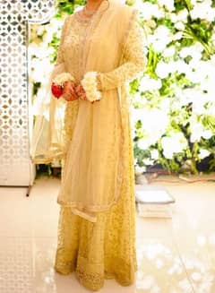 Full length formal net Maxi with Dupatta & Tassels (PRICE NEGOTIABLE)