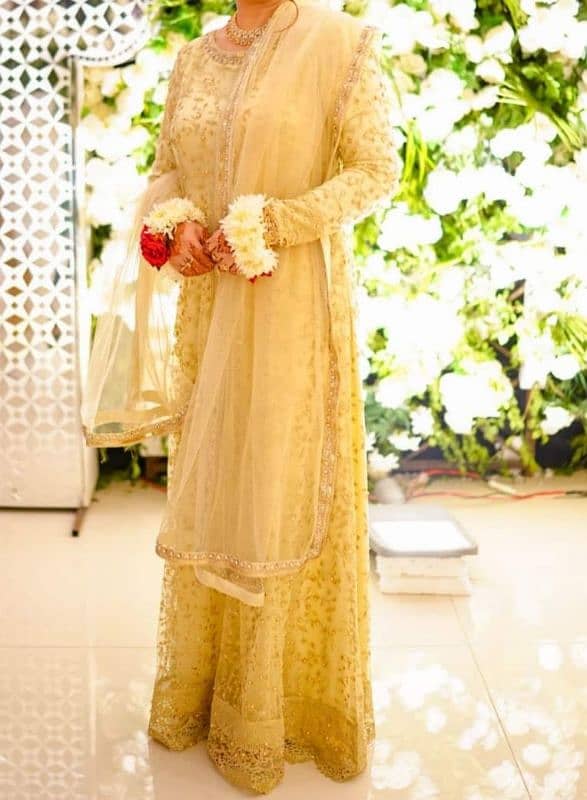 Full length formal net Maxi with Dupatta & Tassels (PRICE NEGOTIABLE) 0