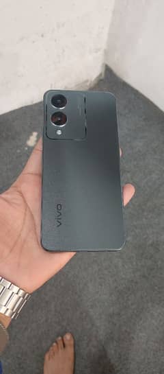 vivo