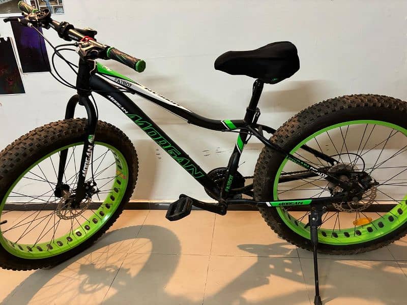 Morgan fat bike 6