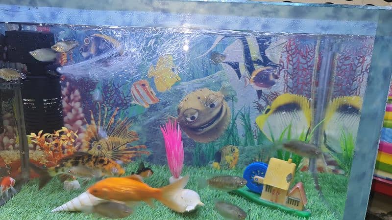 FISH AQUARIUM 0