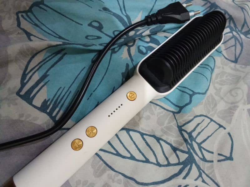 Hair Straightener 2