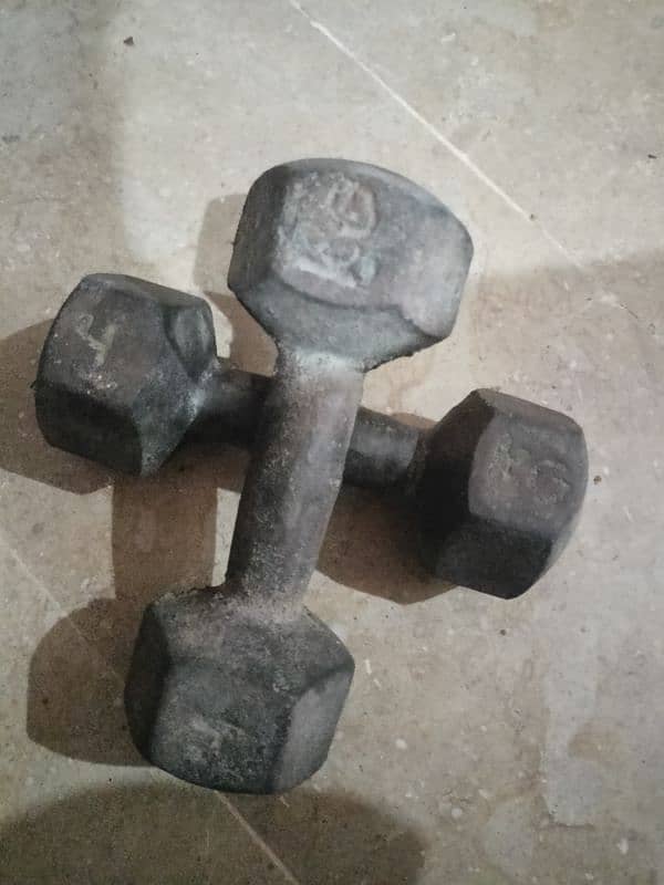 4 KG Dumbbles 0