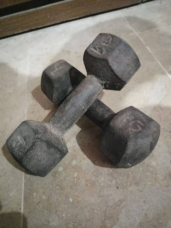 4 KG Dumbbles 1