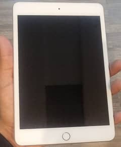 Ipad Mini 5