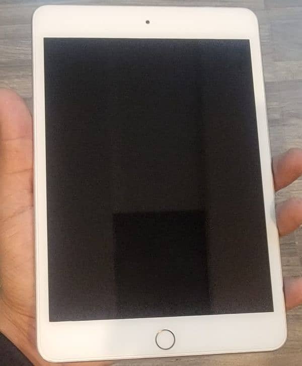 Ipad Mini 5 0