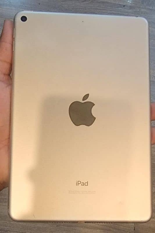 Ipad Mini 5 1