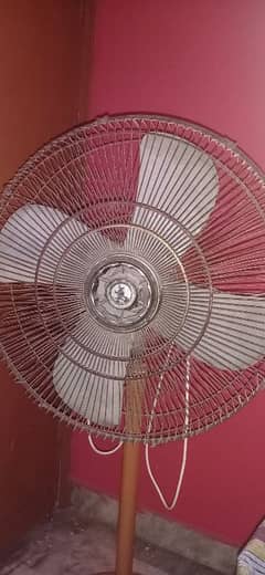 Table fan