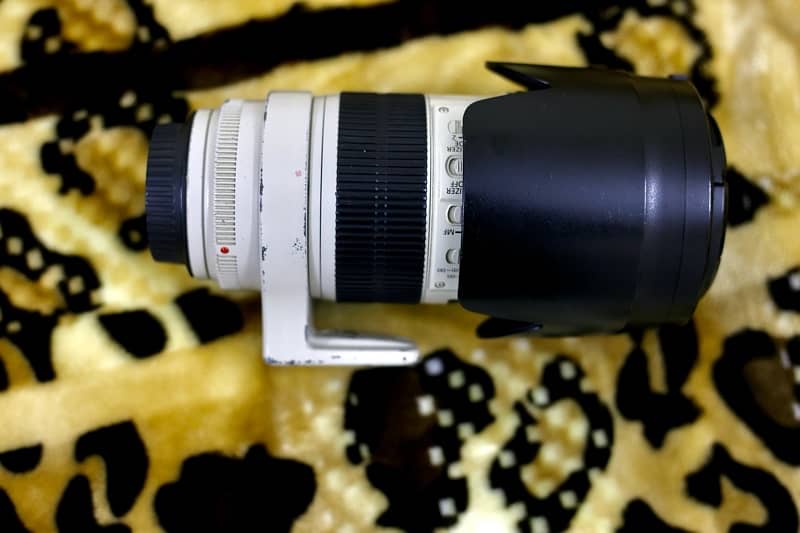 Canon ef 70-200 f2.8 is ii 4