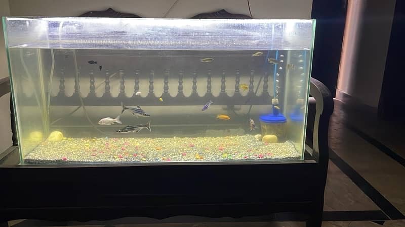 3 feet tank for urgent sale 0