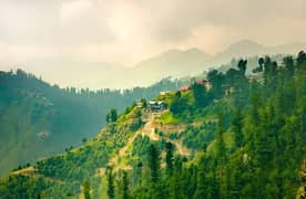 5 Kanal Land for Sale in Murree Potha Sharif