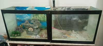 aquarium for sell