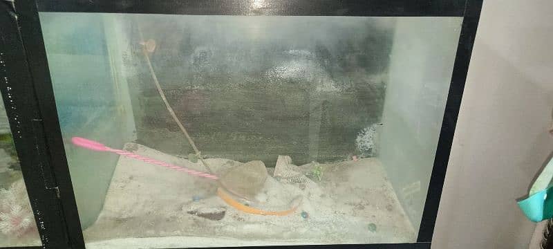 aquarium for sell 2