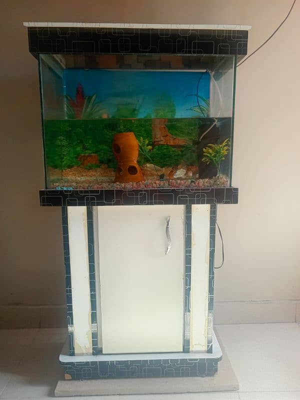 fish aquarium 3