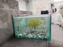 aquarium