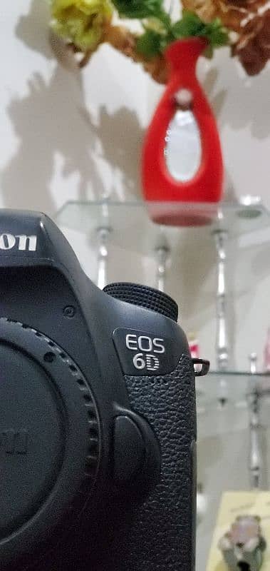 Canon 6D Full Frame DSLR 2