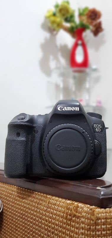 Canon 6D Full Frame DSLR 3