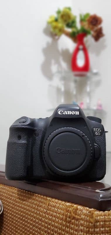 Canon 6D Full Frame DSLR 4