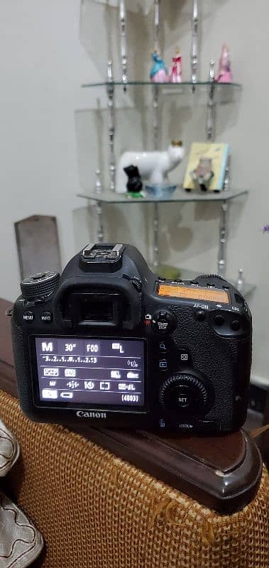 Canon 6D Full Frame DSLR 10