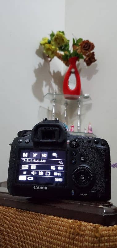 Canon 6D Full Frame DSLR 11