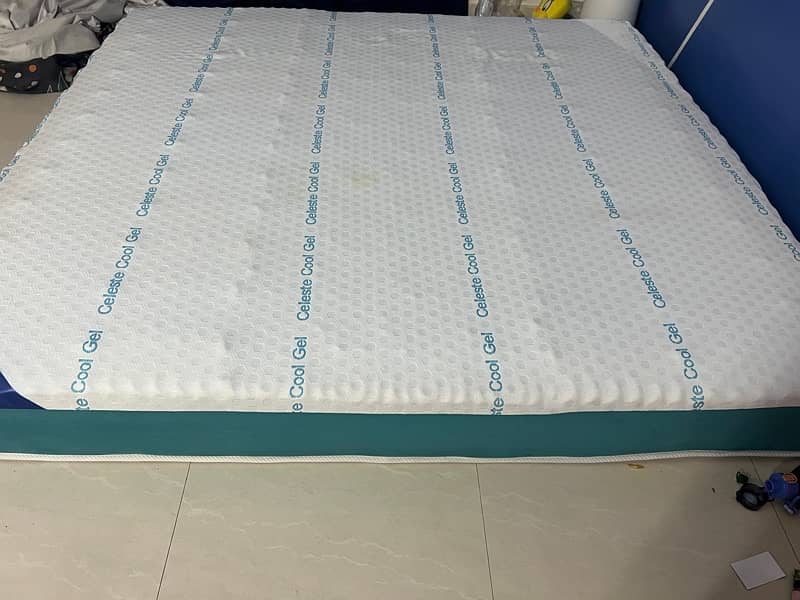 Master molty foam cooling gel mattress 2