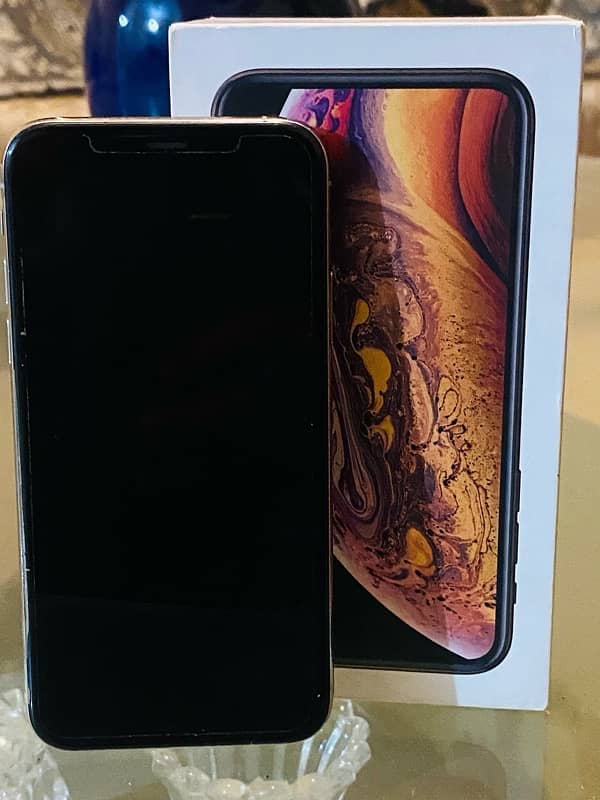 iphone XS 256 GB pta approved 5