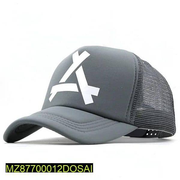 Boy cap's New product 2