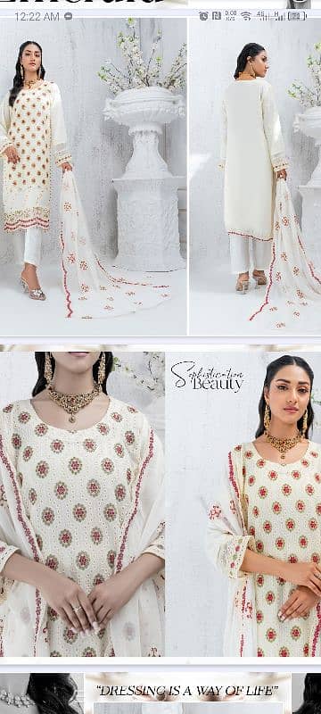 Chiffon Embroidered and cutwork Collection 1