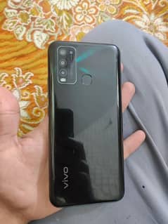 vivo