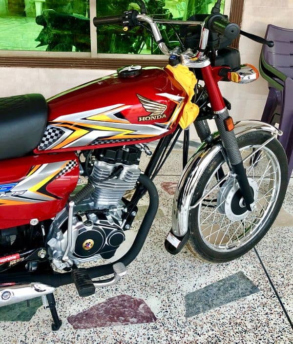 honda 125 Ted colour 7