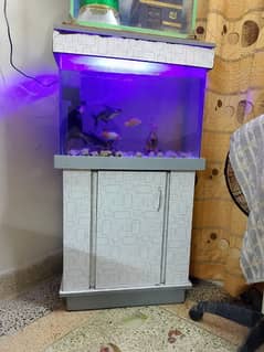 aquarium with accessories+ fish