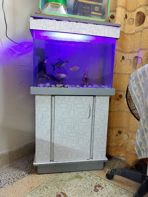 aquarium with accessories+ fish 0