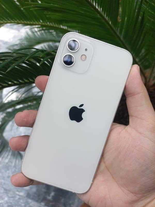 Iphone 12 Premium White color 64gb Non pta 0