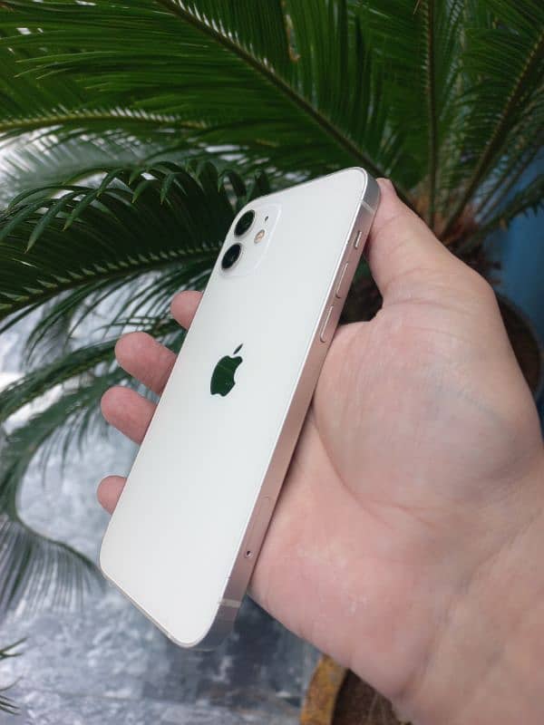 Iphone 12 Premium White color 64gb Non pta 1