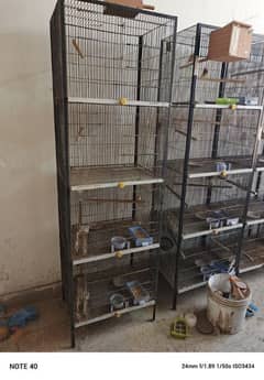 cages for sale