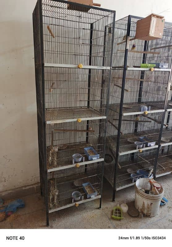 cages for sale 0