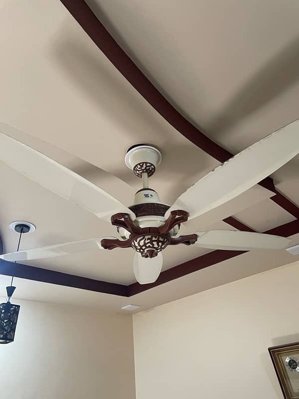 Pak Fan Majestic 5-Blade Ceiling Fan - High-Performance, Stylish 0