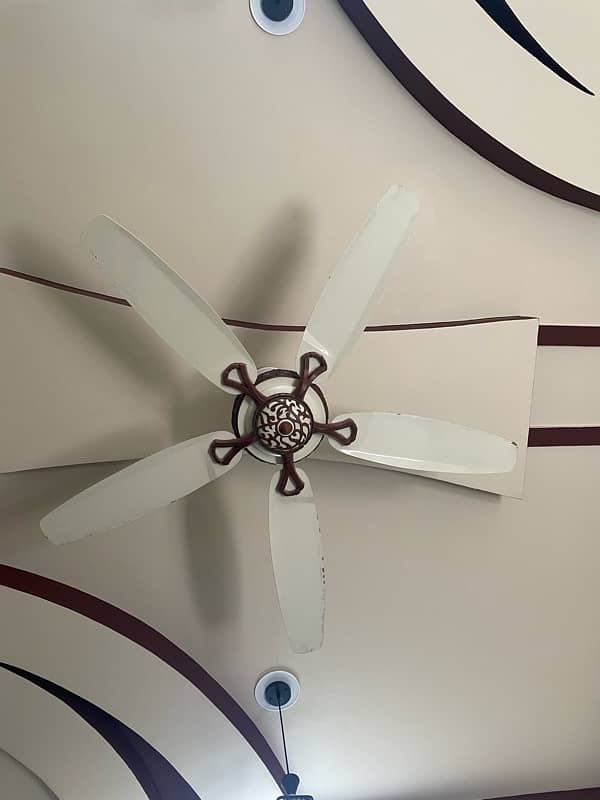 Pak Fan Majestic 5-Blade Ceiling Fan - High-Performance, Stylish 1