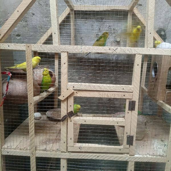 sell parrot 2