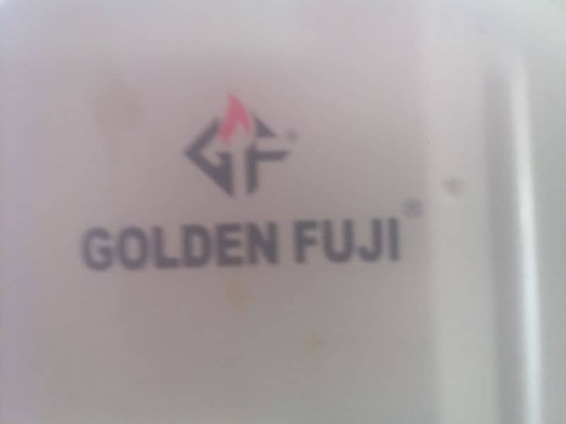 Golden Fuji 6 L Geyser 4