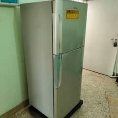 TOSHIBA NO FROST FRIDGE FOR SALE