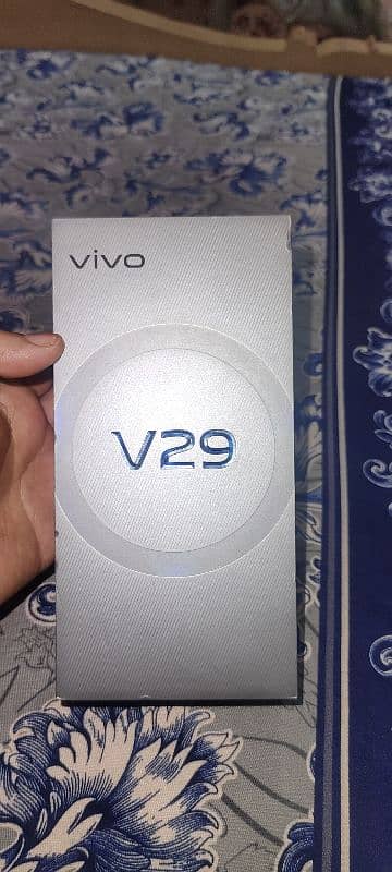 Vivo V29 14