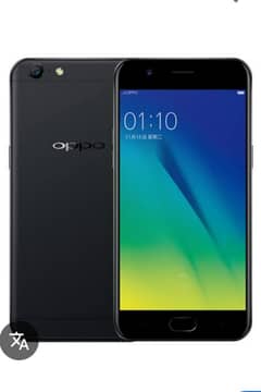 Oppo