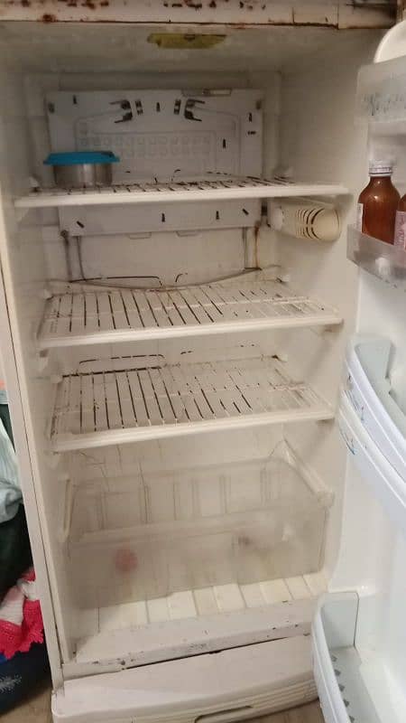 fridge pel condition 10 by 8 1