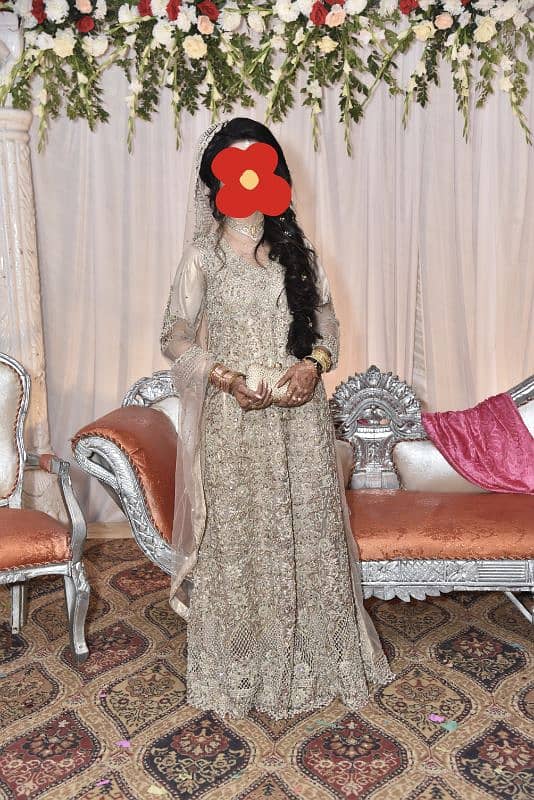 walima maxy 0