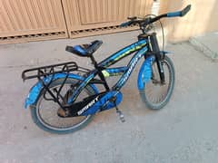 20 inch cycle