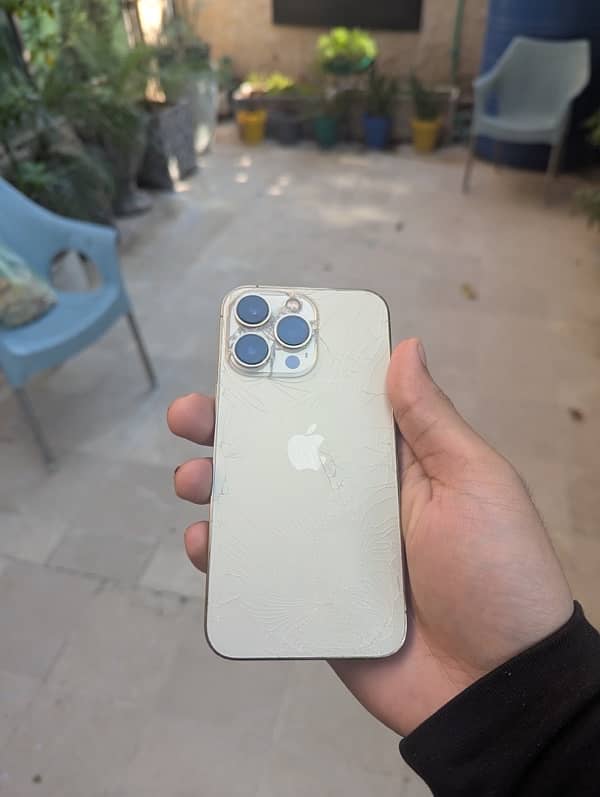 Iphone 13 Pro Golden 1