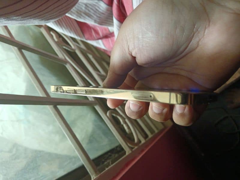 iphone 12 pro golden 265gb 2