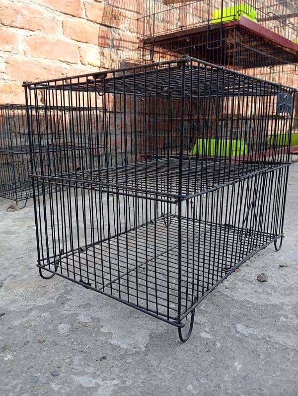 Birds cages 4