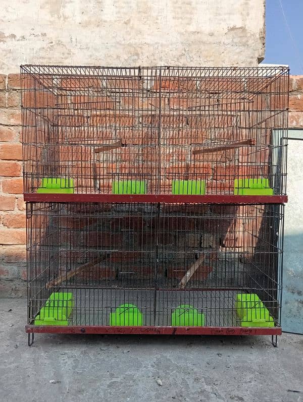 Birds cages 6